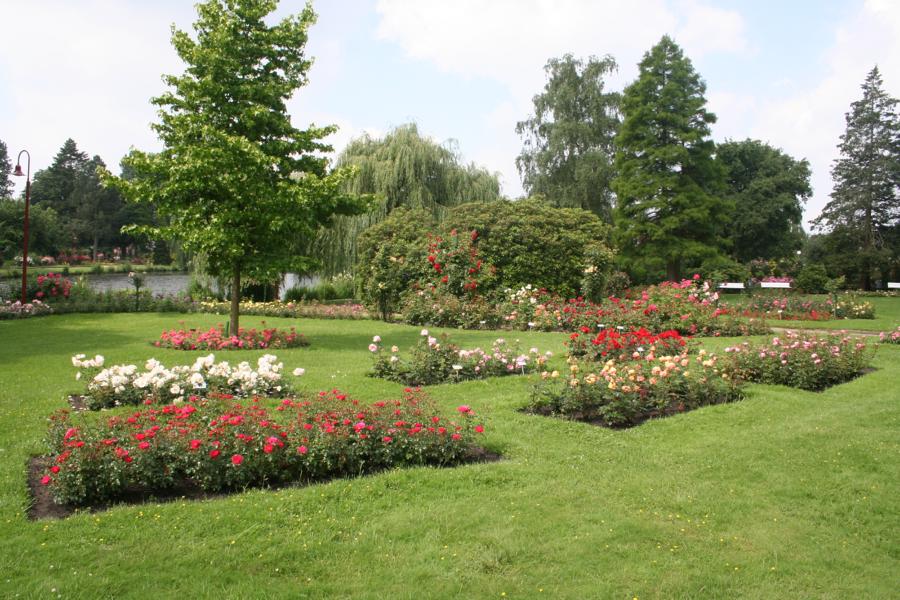 Rosarium Rosarium Uetersen